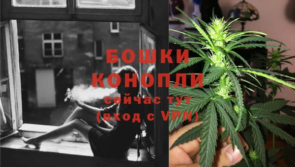 молекула духа Саяногорск