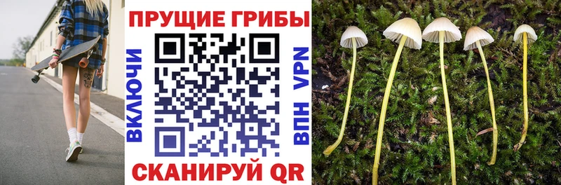 Псилоцибиновые грибы Magic Shrooms  Курильск 